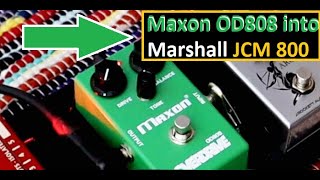 Maxon OD 808 into Marshall JCM 800 Studio [upl. by Llerrehc]