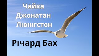 ЧАЙКА ДЖОНАТАН ЛІВІНГСТОН РІЧАРД БАХ Аудіокниги українською [upl. by Eniamirt]