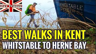 Best Walks in Kent  Saxon Shore Way Whitstable to Herne Bay and Reculver Day Tripper Vlog 45 [upl. by Hatch819]