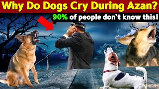 Why Do Dogs Cry During Azan [upl. by Westfahl]