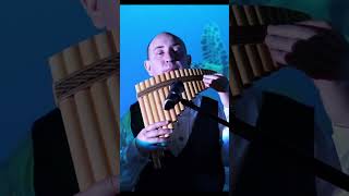 Unchained Melody music panflutemusic flute panflute [upl. by Ardnuahs530]