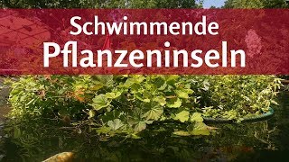 Pflanzeninseln von KOIPON® Natürlich Algen im Teich Sauerstoffmangel und Überhitzung vorbeugen [upl. by Eveiveneg]