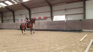 Cavaletti training met een grand prix paard [upl. by Alston]