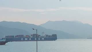 CMACGM VELA達飛維拉 [upl. by Otto]