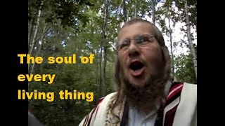 The Soul of Every Living Thing  Rabbi Yonassan Gershomwmv [upl. by Shugart]