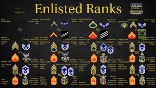 US Military All Branches ENLISTED Ranks Explained [upl. by Caffrey]