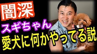 【闇深】水曜日のダウンタウン スギちゃん、愛犬に何かやってる説 [upl. by Palgrave]