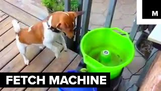 This Machine Plays Fetch With Your Dog [upl. by Aihsel182]