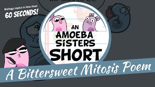 Mitosis Poem  Amoeba Sisters Shorts [upl. by Armillia]