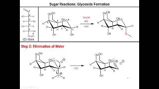 Lec10  Alkylation and Acetylation of Sugars [upl. by Lednar704]