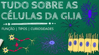 Tudo sobre Sistema Nervoso Episódio 6 CÉLULAS DA GLIA neuroglia [upl. by Anavoj]