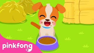 I’m a happy dog  The Dog Song  Farm Animals  Nursery Rhymes  Animal Songs  Pinkfong Songs [upl. by Nilcaj]