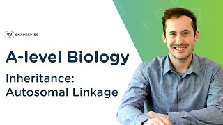 Inheritance Autosomal Linkage  Alevel Biology  OCR AQA Edexcel [upl. by Frants]