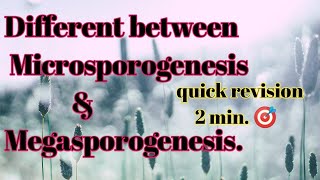 Different between Microsporogenesis and Megasporogenesis neetkipadhai TimeSaverTricks [upl. by Kiyohara656]