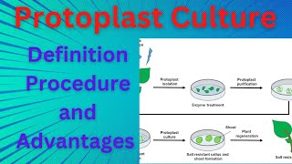 Biotechnology PTC Protoplast Culture [upl. by Dexter479]