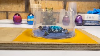 How to Make Silicone Molds for Epoxy Resin  Easy DIY [upl. by Niahs]