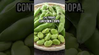 3 Beneficios Ocultos de Comer Habas Todos los Díasquot habas beneficios [upl. by Aivan605]