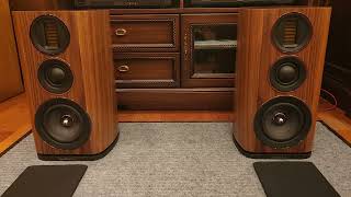 Wharfedale Evo 42 [upl. by Eldnek365]