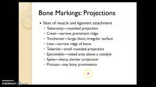 Chapter 6C  Bone Markings [upl. by The]