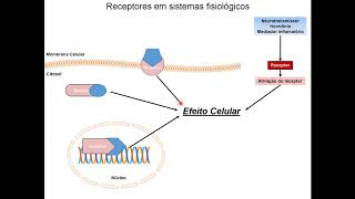 VideoAula  Farmacodinâmica  Farmacologia básica para medicina [upl. by Irene]