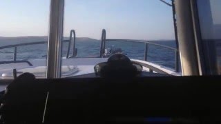 SARGO 36 FLY 72 kmh 39 knots [upl. by Angrist]