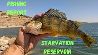 Starvation Reservoir Fishing Report [upl. by Odelle]