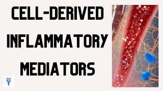 CELLDERIVED INFLAMMATORY MEDIATORS  Functions amp Roles in the Inflammatory Response [upl. by Sedaiuqlem931]