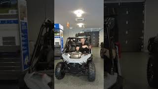 Polaris RZR 200 [upl. by Zaneski]