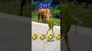 Ai🐸Frog 🔥🔥🔥Hilarious Beat Dance Drops to🐄 cow🤔  funny ai shortsfeed krrishoo7funnyanimal [upl. by Mayeda]