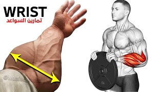 9 PERFECT EXERCISES FOREARM WORKOUT 🎯 [upl. by Etteniuqna50]