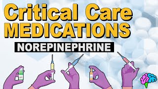 Norepinephrine Levophed  Critical Care Medications [upl. by Jilleen]