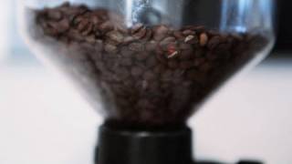 How to Buy Coffee Beans  Perfect Coffee [upl. by Camilia]