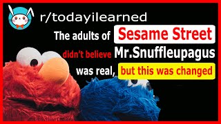 🐰👾👹 The adults of Sesame Street didn’t believe MrSnuffleupagus was real but this was changed [upl. by Ehcar]