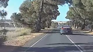 Aussiecams  We pray SAPOL was able to stop this driver Dangerous driving [upl. by Ebonee]