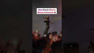 Akon live concert shillong cherry blossom [upl. by Aicilas]