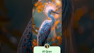 Al Qran translation isalmiceducation quran [upl. by Nhguav]