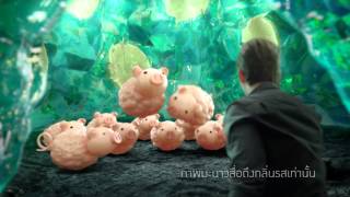 PORK Nissin Thailand TVC [upl. by Akiem]