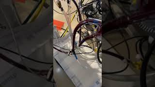 ECLS circuit videos circuit chugging [upl. by Tillinger]