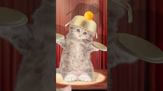 I did it 3  ping pong ball song funny pets funny cat animation  healing  재미있는 고양이 애니메이션 힐링샵 [upl. by Attalie]