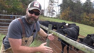 CATTLE FENCING IDEAS FOR YOUR FARMRANCH [upl. by Fred]