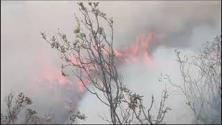 Incendie de forêt à Cochapata Équateur [upl. by Adaran]