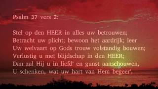 Psalm 37 vers 1 2 en 9  Wees over t heil der bozen niet ontstoken [upl. by Ruzich]