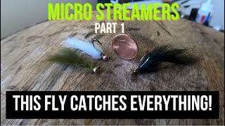 FLY TYING TUTORIAL  How to tie this SUPER EFFECTIVE Micro Streamer [upl. by Olotrab]