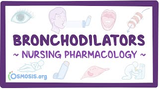 Bronchodilators Nursing Pharmacology [upl. by Meehsar]