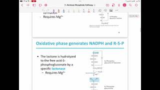 Lecture 13  pentose phosphate pathway [upl. by Madigan]