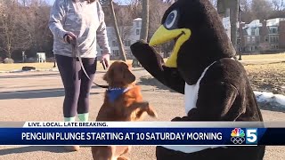 Special Olympics Vermont to host 29th annual Penguin Plunge [upl. by Ietta]