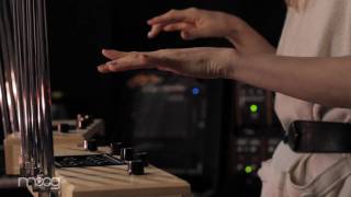 Introducing the Moog Polyphonic Theremin [upl. by Apfelstadt]