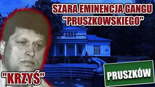 Ryszard quotKRZYĹšquot Pawlik  szara eminencja Gangu quotPruszkowskiegoquot  Profil Gangstera 65 [upl. by Towbin307]