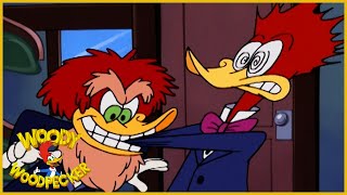 Woody Woodpecker Show  Wild Woodpecker  Full Episode  Cartoons For Children [upl. by Id]