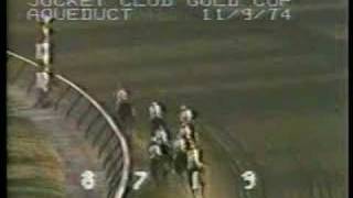 Forego  1974 Jockey Club Gold Cup [upl. by Wavell435]